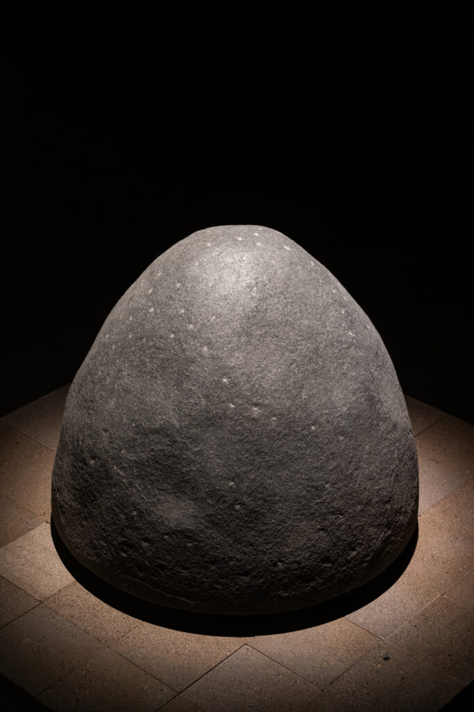 OVUM TheLine Gallery